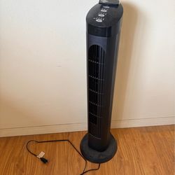 Fan with remote