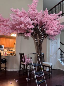 Rent 13 feet tall blossom tree