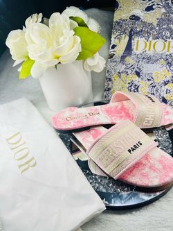 Christian Dior Dway Slide Sandals Pink Toile de Jouy
