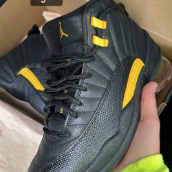 Jordan 12 