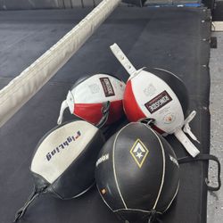 Boxing Double End Bags