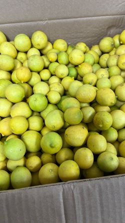 Limones