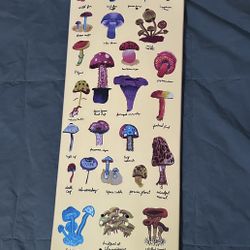 ElementxChris "Cookie" Colbourn Shrooms Skateboard Deck