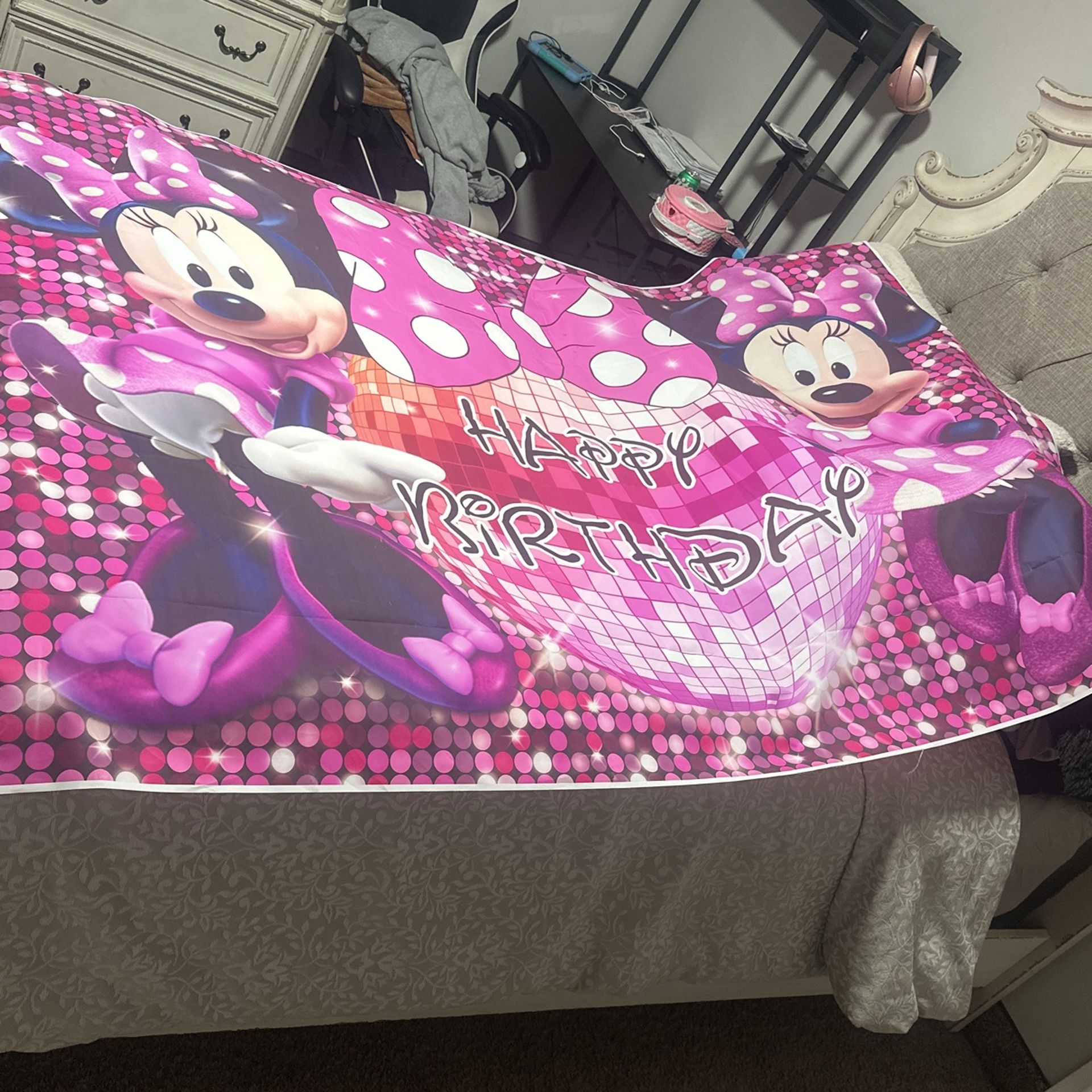 Minnie Mouse Back Drop
