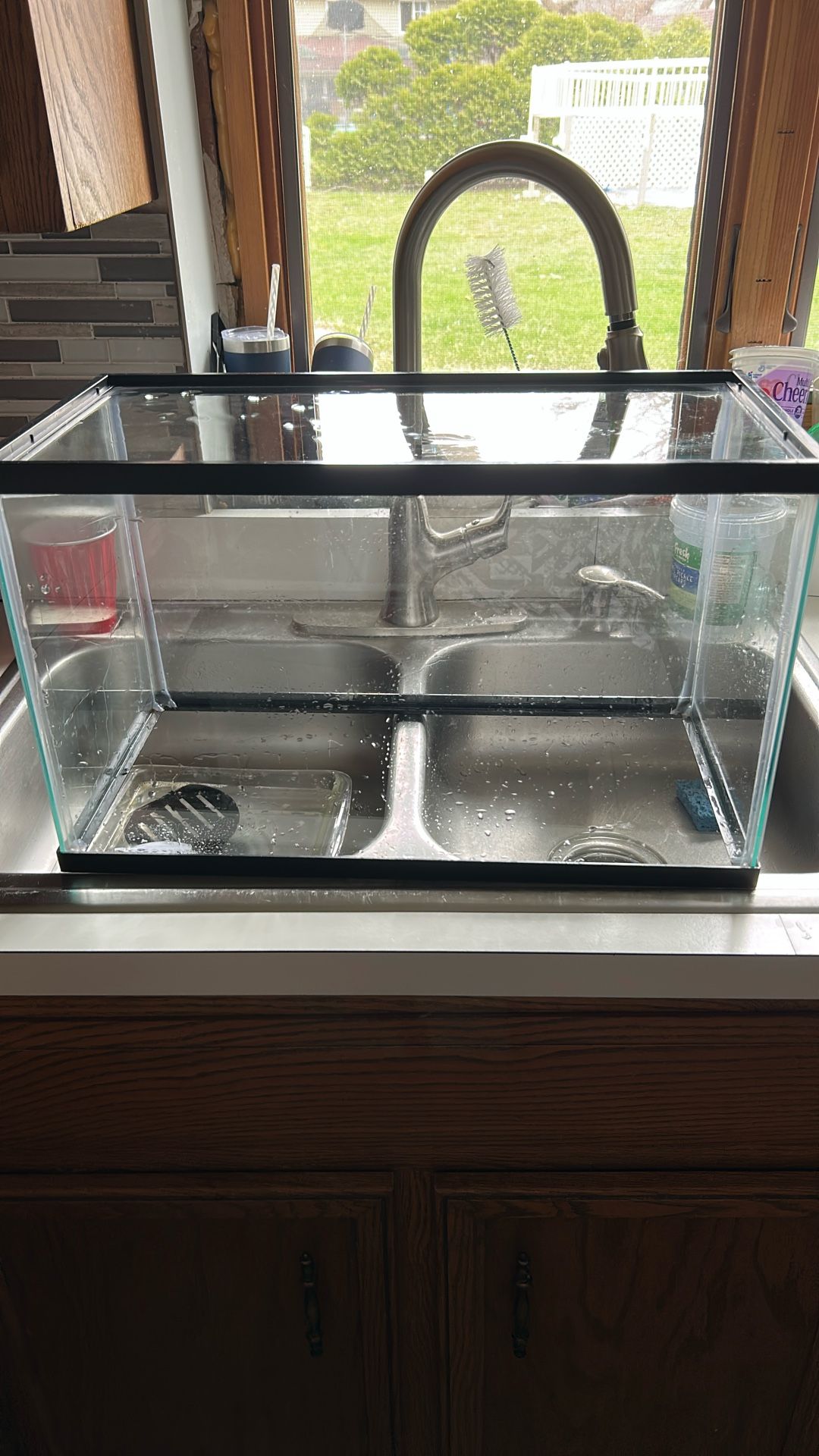 Fish Tank