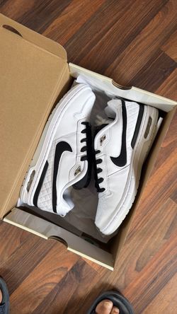 Paul Rodriguez Zoom Air Low Sz 9.5