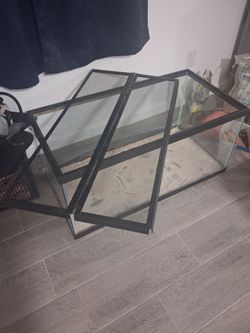 40 Gallon Bearded Dragon Terrarium with supplies