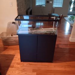 20 Gallon Fish Tank And Stand