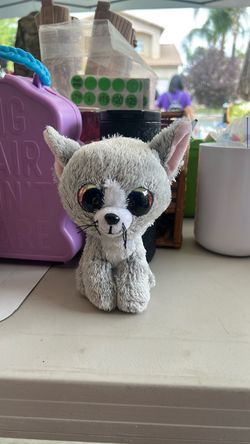 Little cat 2018