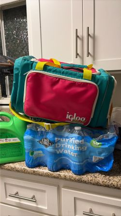 Retro Igloo Stay Cool Cooler