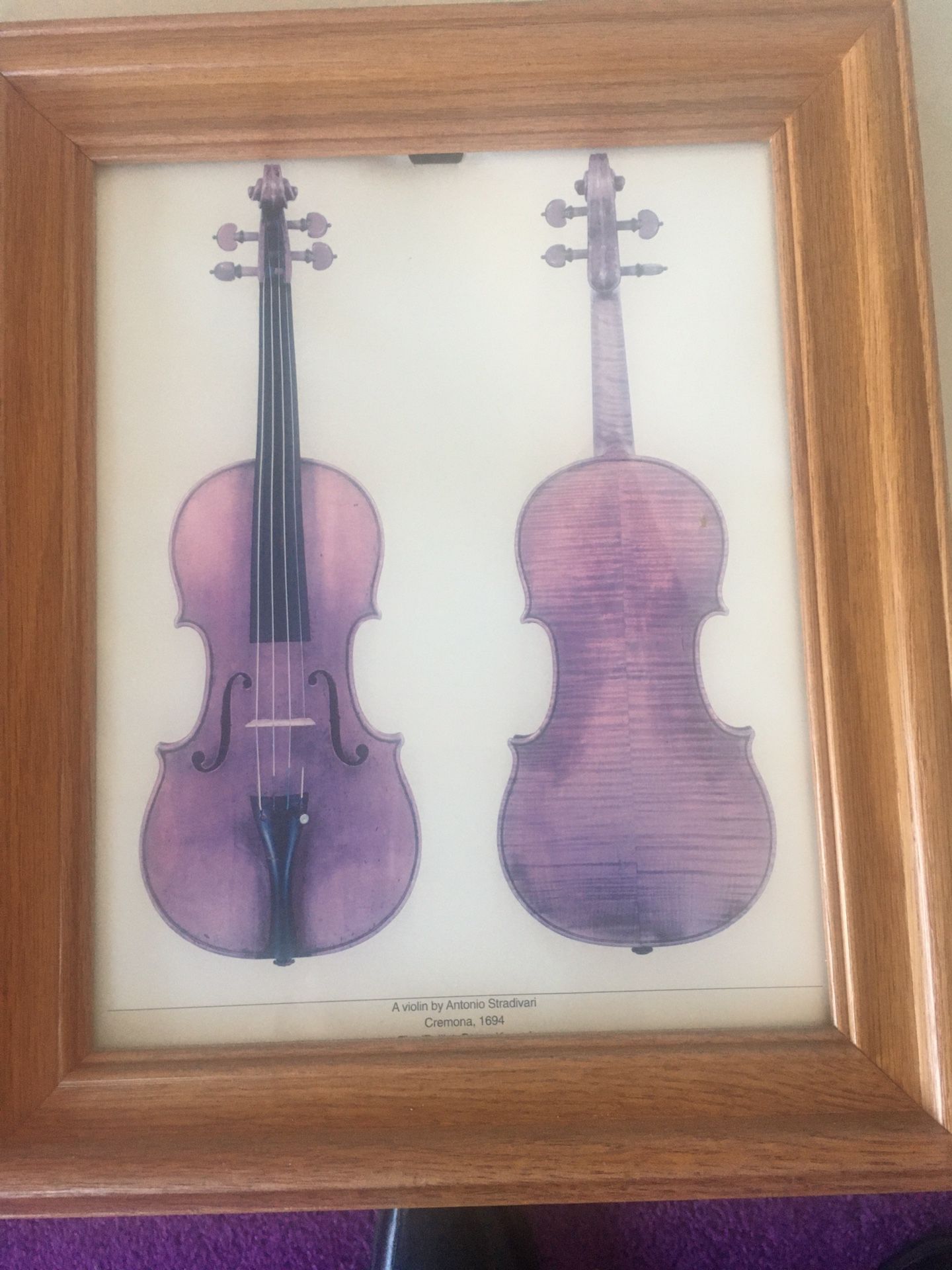 Violin pictures