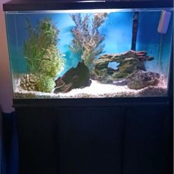 25 GAL AQUARIUM WITH ACCESSORIES,  DECORATIONS & WOOD AQUARIUM STAND & CABINETS
