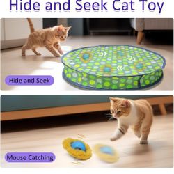 Interactive Cat Toys Ball Fast Rolling in Pouch, Motion Activate