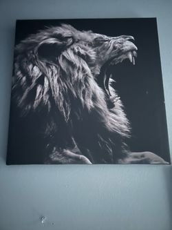 Two picture frames for lions altogether selling it