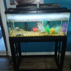 Fish Tank With Accessories 