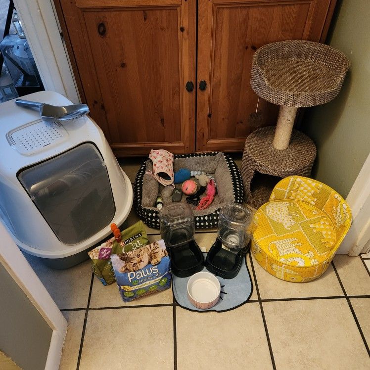 Cat Supplies