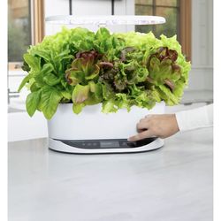 AeroGarden Bounty