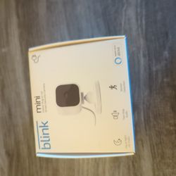 Blink Mini Camera Only 10 Bucks