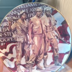 Official Friends Of The Vietnam Veterans Memorial Plate