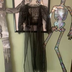Halloween Costume Gown 