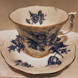 Royal Albert Bone China Tea Cup And Saucer