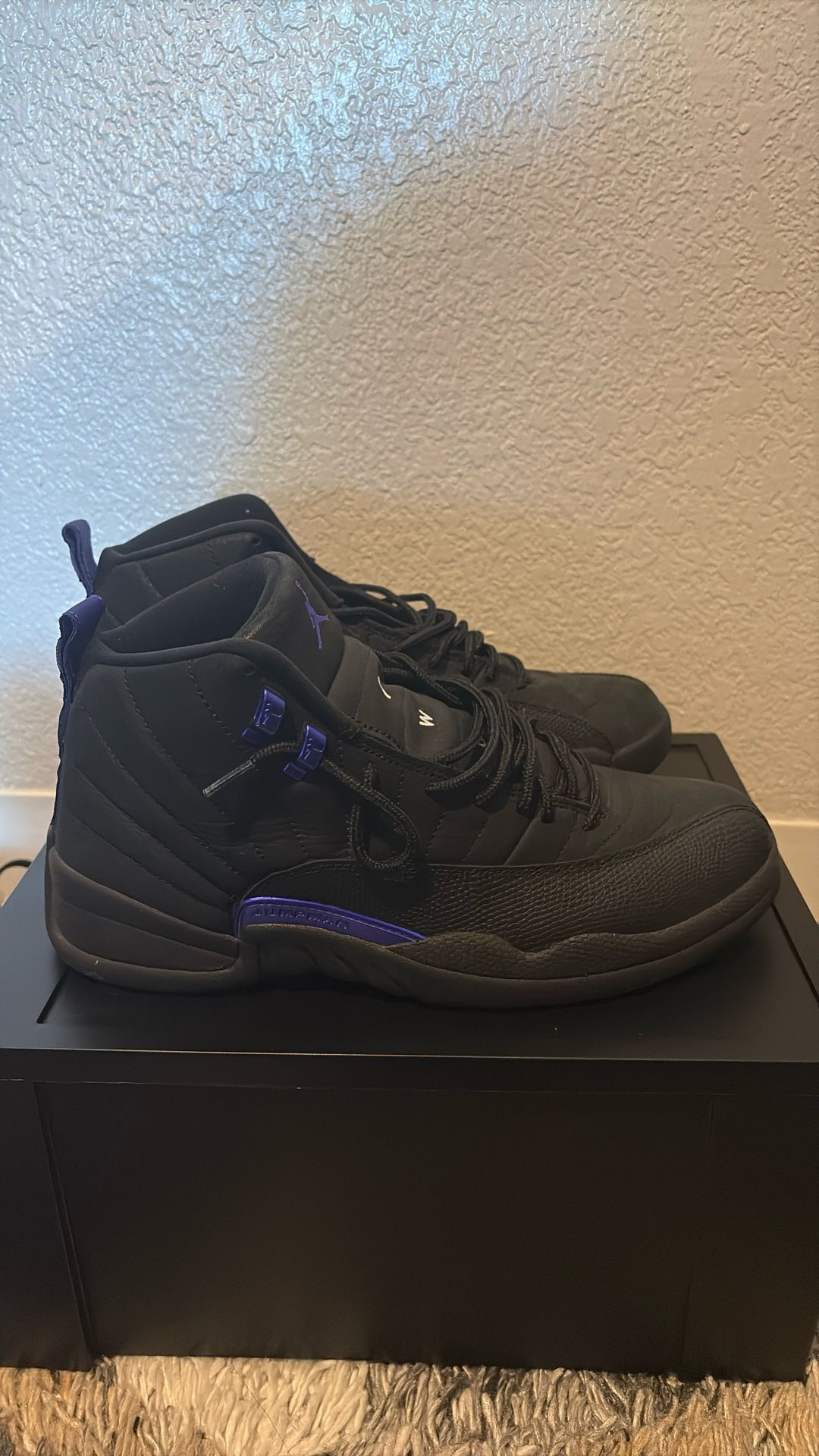 Size 11 - Air Jordan 12 Retro Dark Concord