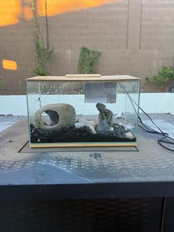 5 Gallon Glass Fish Tank with Decor and Tank Care