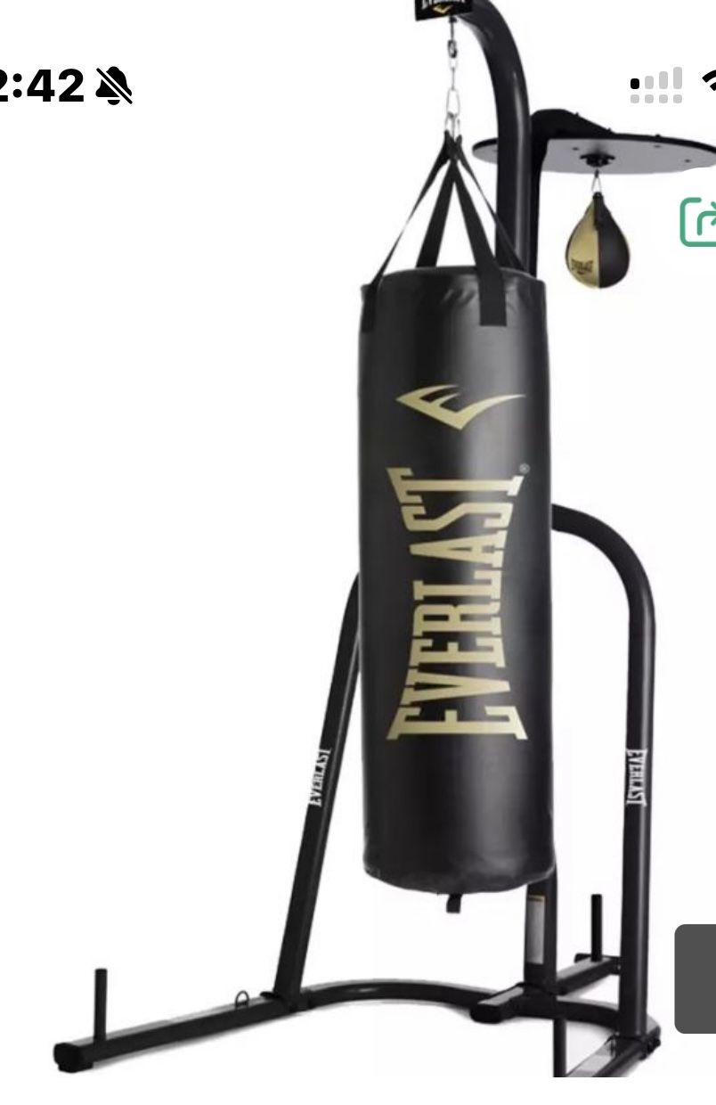 Punching Bag Stand and Plenty Of Gloves