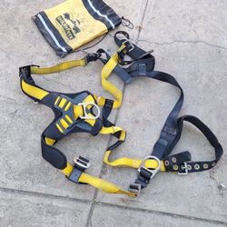 Harness