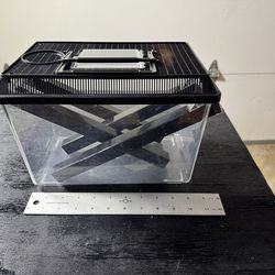Reptile Supplies - Lg Cricket Container