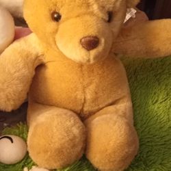 Teddy Bear