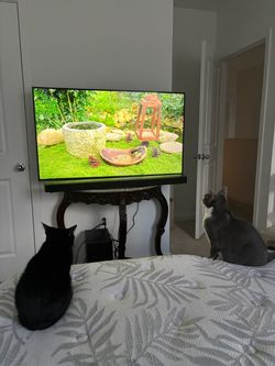 Brand new Samsung tv