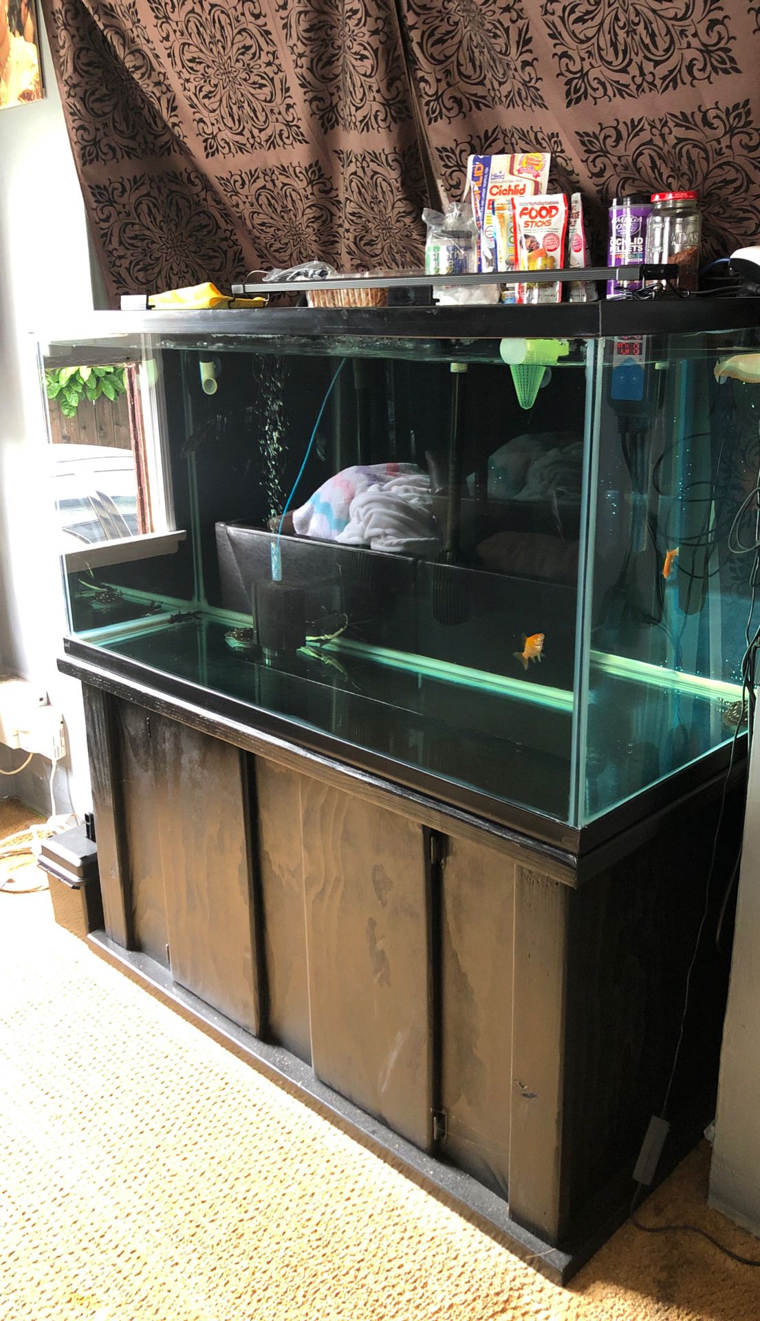 Fish tank 120g 4x2x2 aquarium