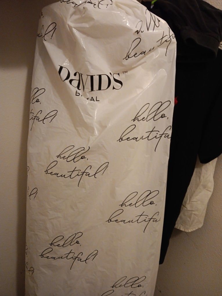 Beautiful Ivory David's Bridal Dress Size 10