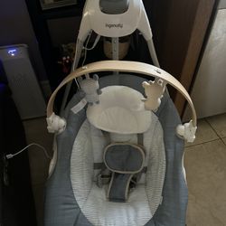 Baby Swing