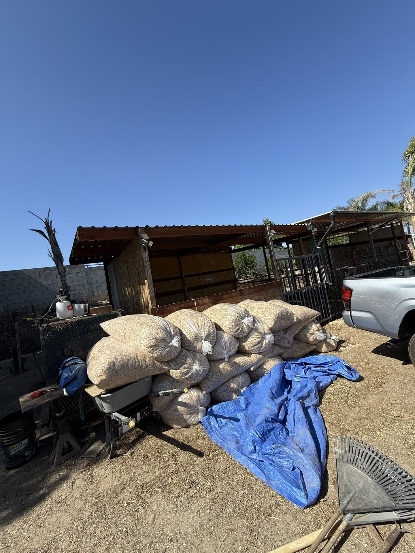 Aserin Pa Sus Caballos , Wood Shavings