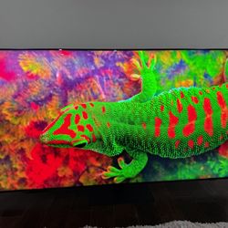 Samsung Qled 2023 70 Inch 