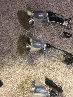 Reptile Stuff