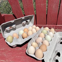 Fresh Eggs $5/dozen