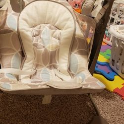 Deluxe Take Along Swing/chair