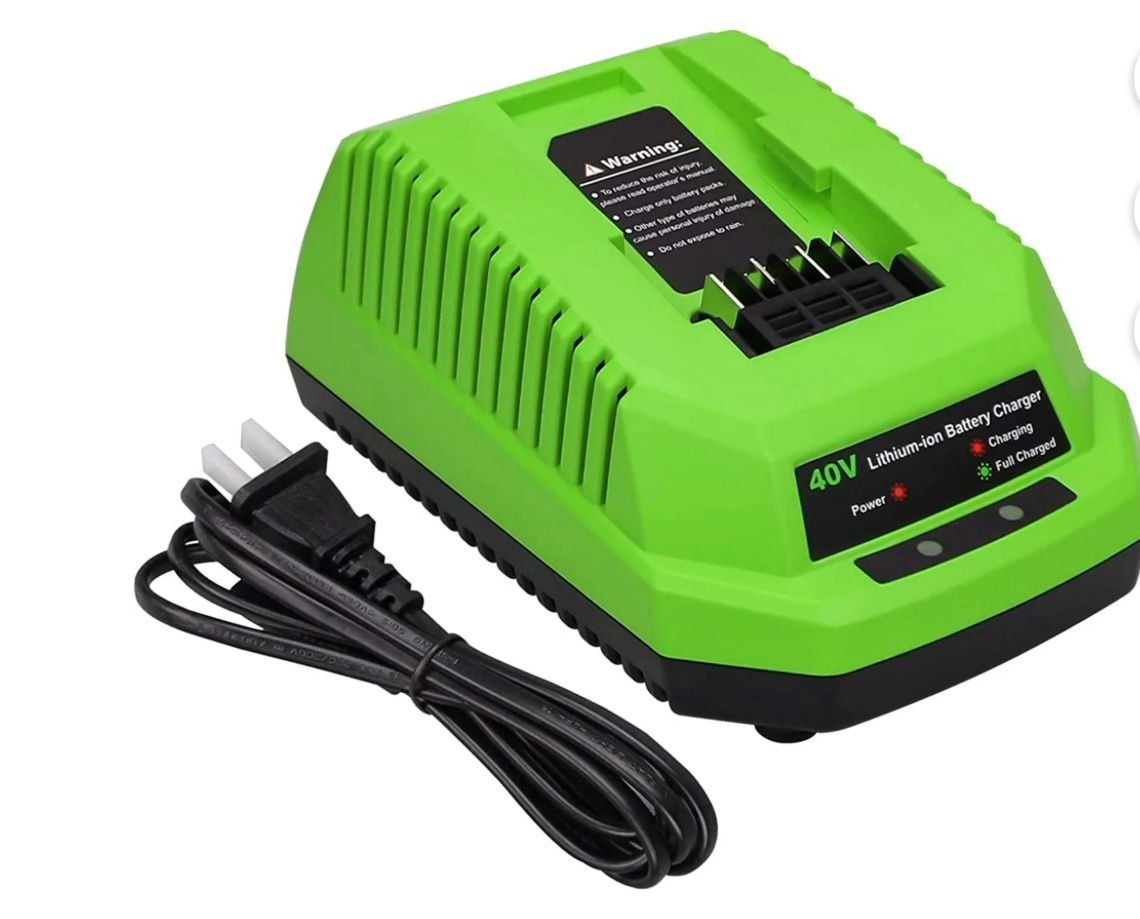 Greenworks 40V Lithium Ion Battery Charger 29482 Compatible with Greenworks 40V