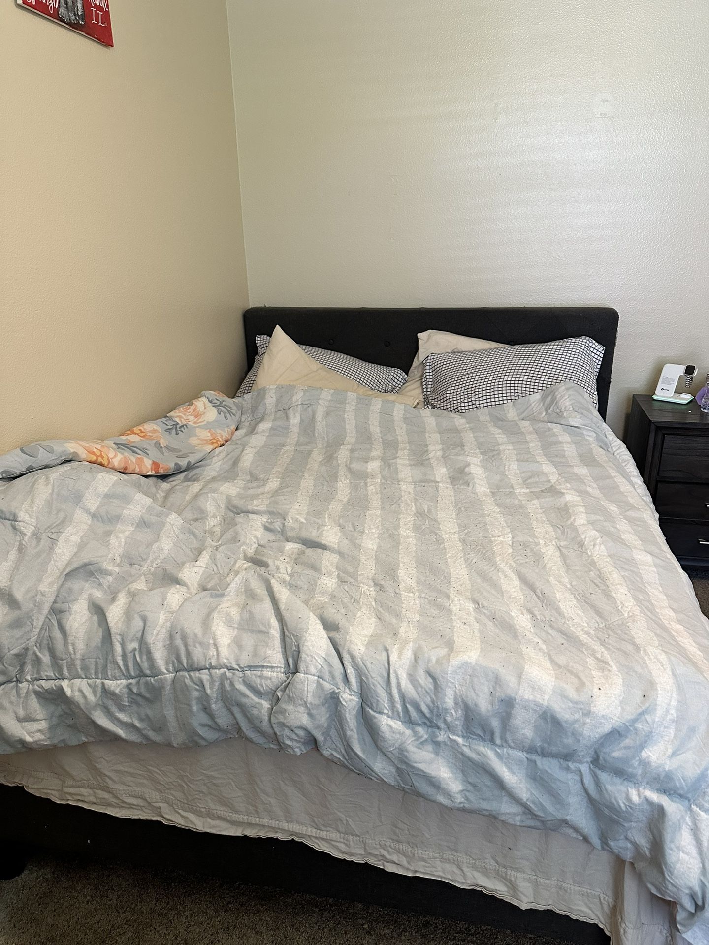 Queen Sized Bed & Mattress