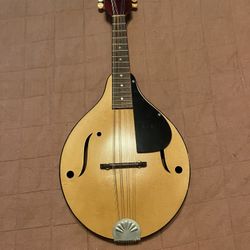 Stradolin Mandolin 