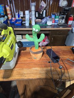 Dancing Mimic cactus