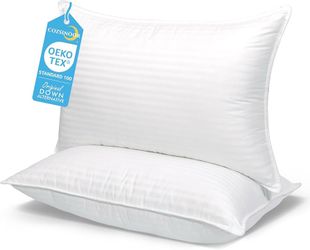 Bed Pillows(brand new)