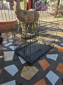 Pet cage
