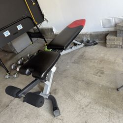 Bowflex Bench With Dumbbell Set