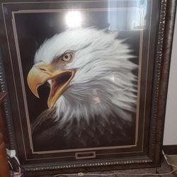 Big Eagle Collectible Picture.