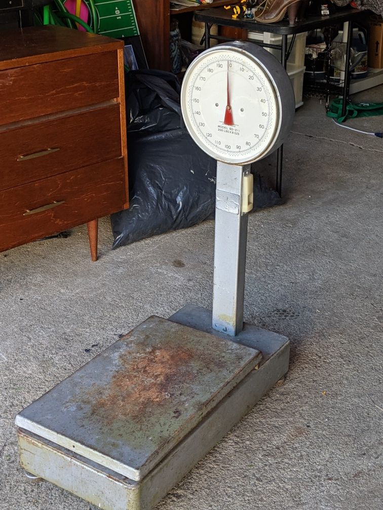 Metal scale