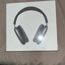 AirPods Max W Case